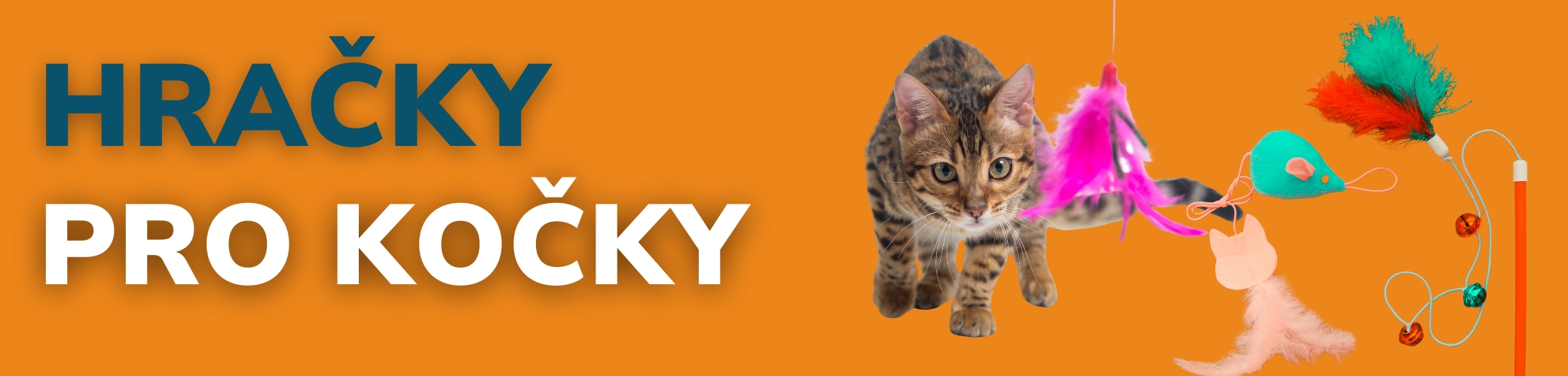 HRACKY PRO KOCKY